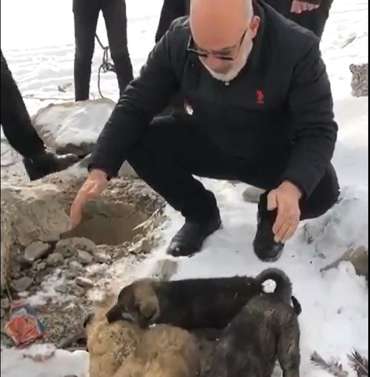 Su kuyusuna düşen yavru köpekleri itfaiye ekibi kurtardı