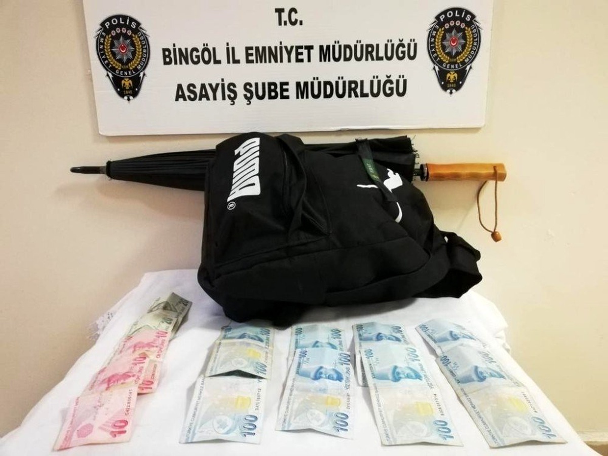 Bingöl\'de hırsızlık operasyonları: 4 tutuklama