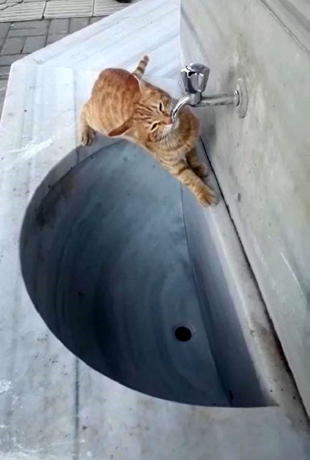 Çeşmeden su içen kedi ilgi odağı oldu