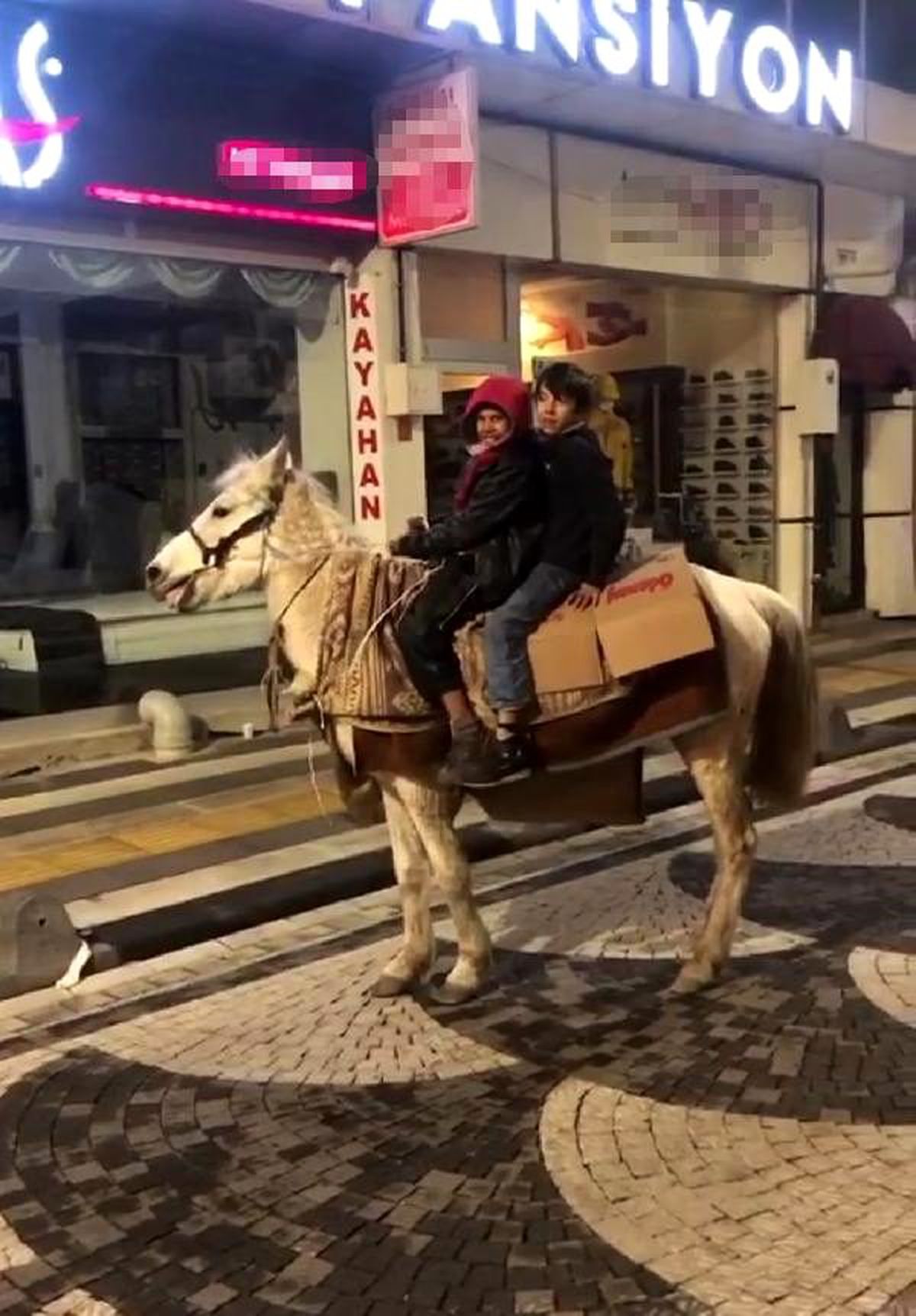 Keşan merkezinde 2 çocuğun atla gezisi