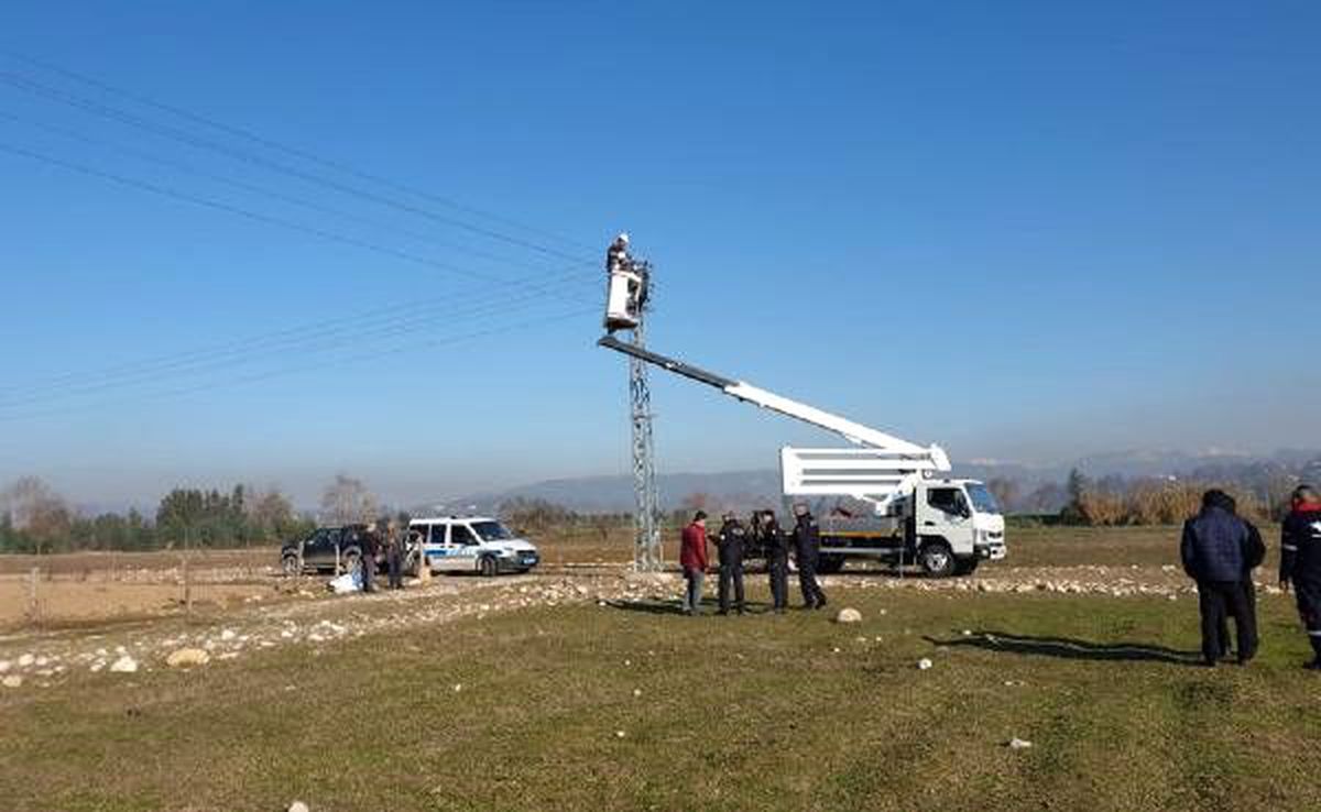 Pazarcı, boş arazide ölü bulundu