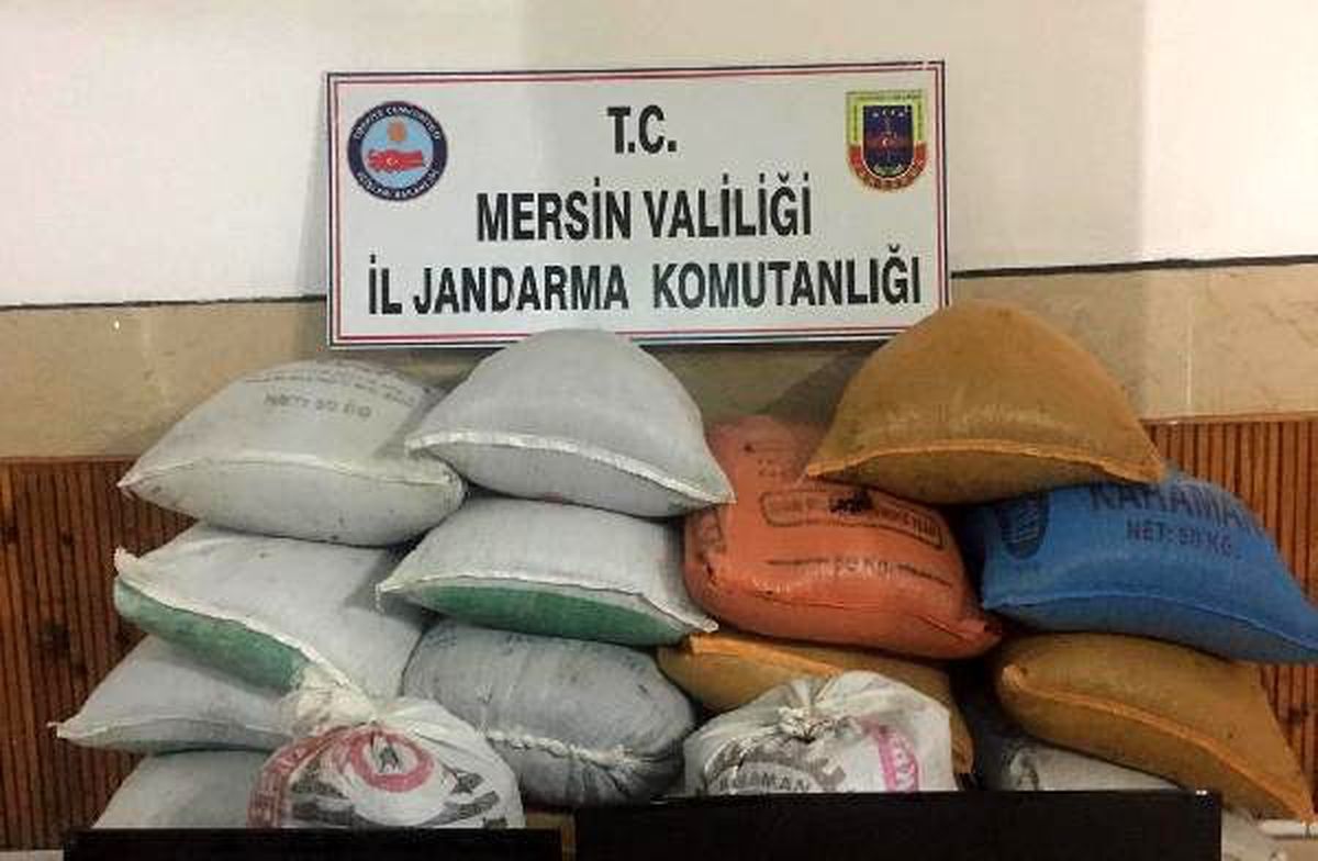 25 bin lira değerinde 1,5 ton kuru üzümü çaldılar