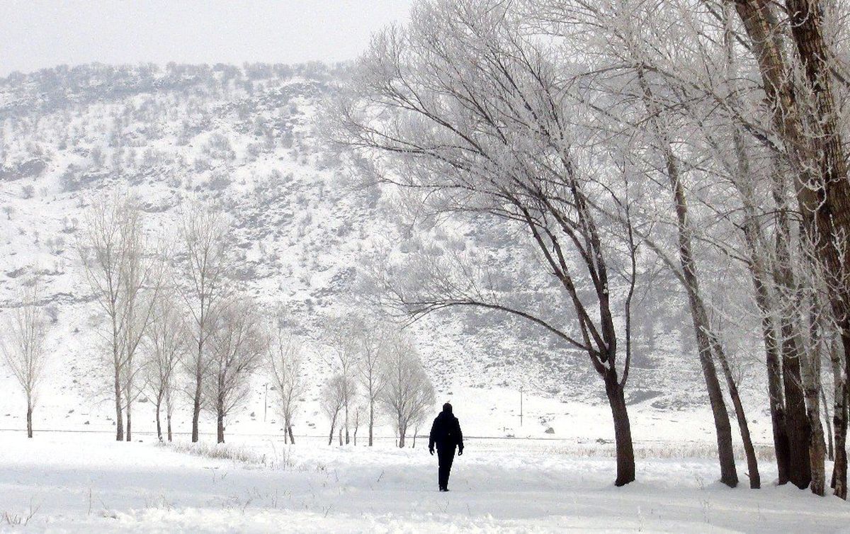 Bitlis\'te dondurucu soğuklar