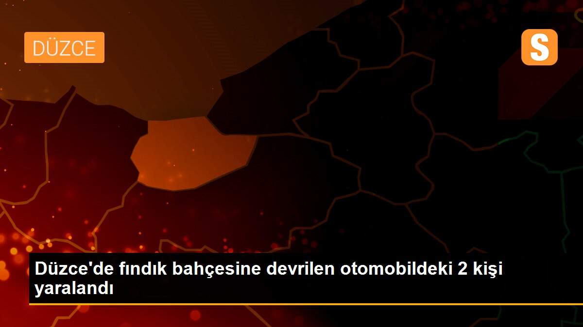 Düzce\'de fındık bahçesine devrilen otomobildeki 2 kişi yaralandı