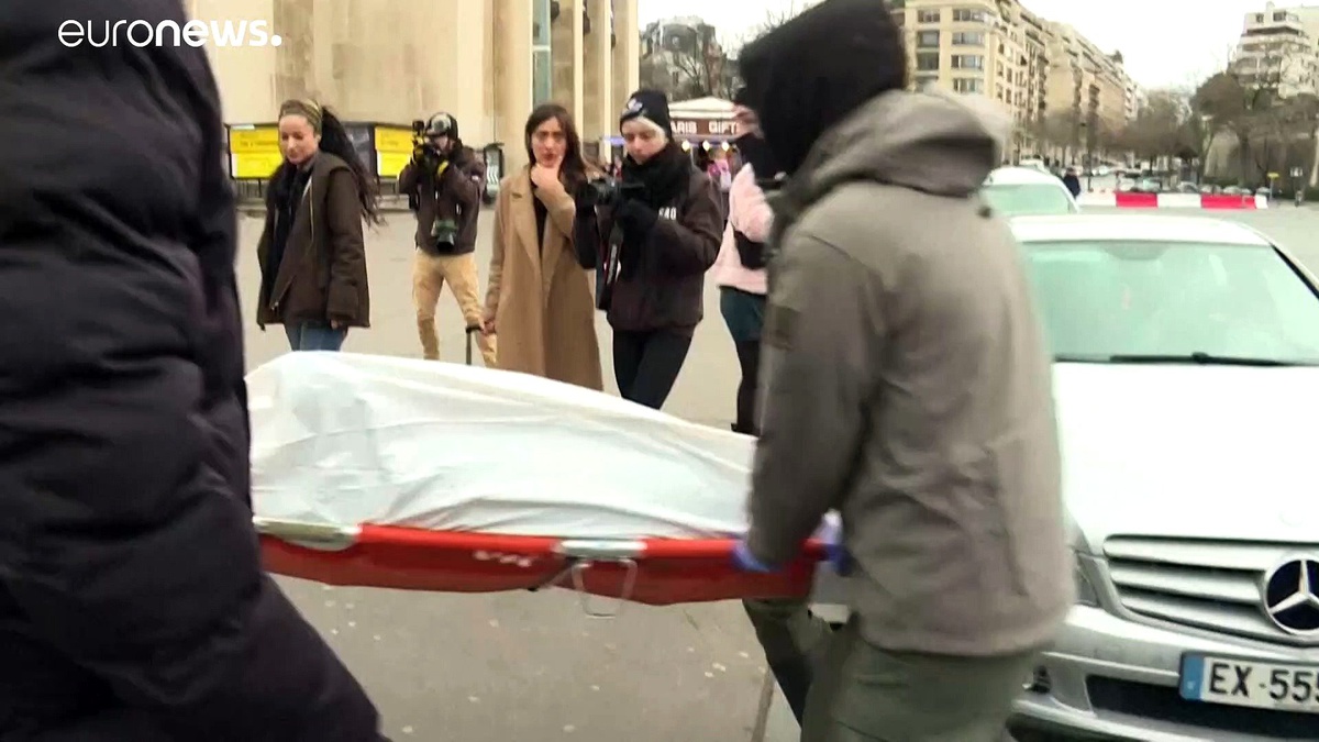 Eyfel kulesi önünde ölü yunus balıklarıyla \'aşırı avlanma\' karşıtı protesto