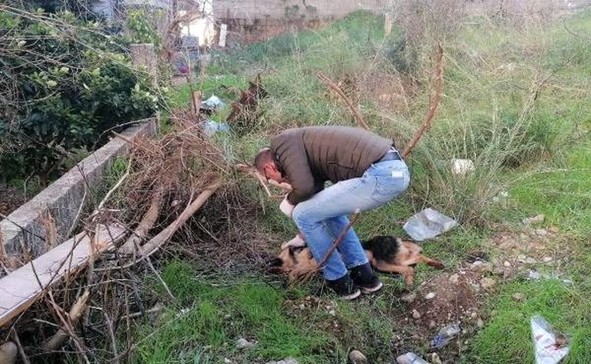 Kendisine saldırdığını öne sürdüğü köpeği bıçaklayarak öldürdü