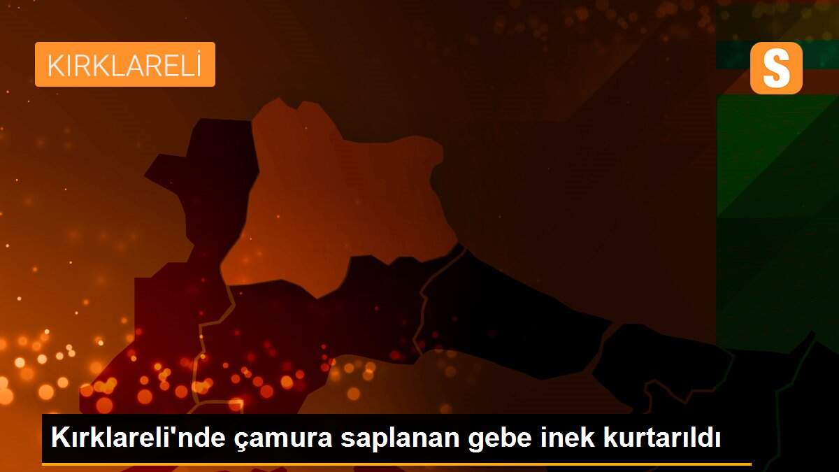 Kırklareli\'nde çamura saplanan gebe inek kurtarıldı