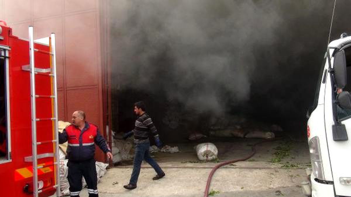 Mersin\'de defne yaprağı işleme fabrikasında yangın