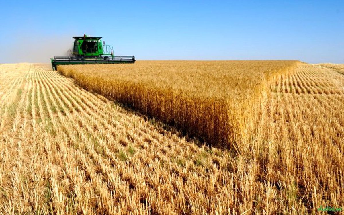 Tarım ÜFE 2019 Aralık\'ta yıllık yüzde 16,07 arttı