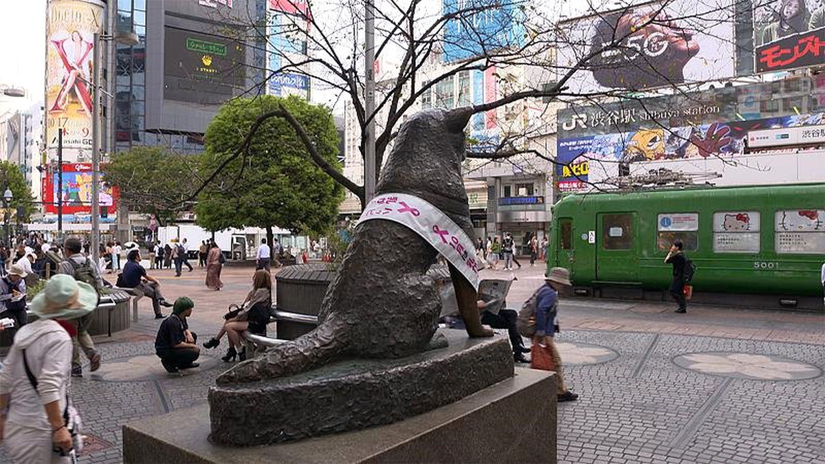 Tokyo\'nun 5 dakika uzaklıktaki iki farklı semti: Modern Shibuya ve geleneksel Shimokitazawa