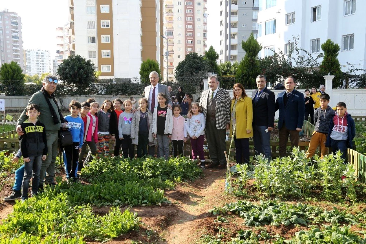 Mezitli Belediyesi çocuk hobi bahçesinde hasat sevinci