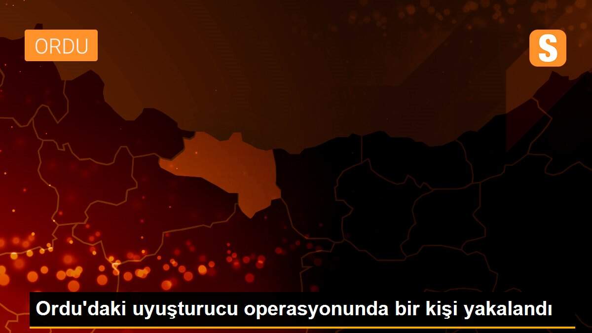 Ordu\'daki uyuşturucu operasyonunda bir kişi yakalandı