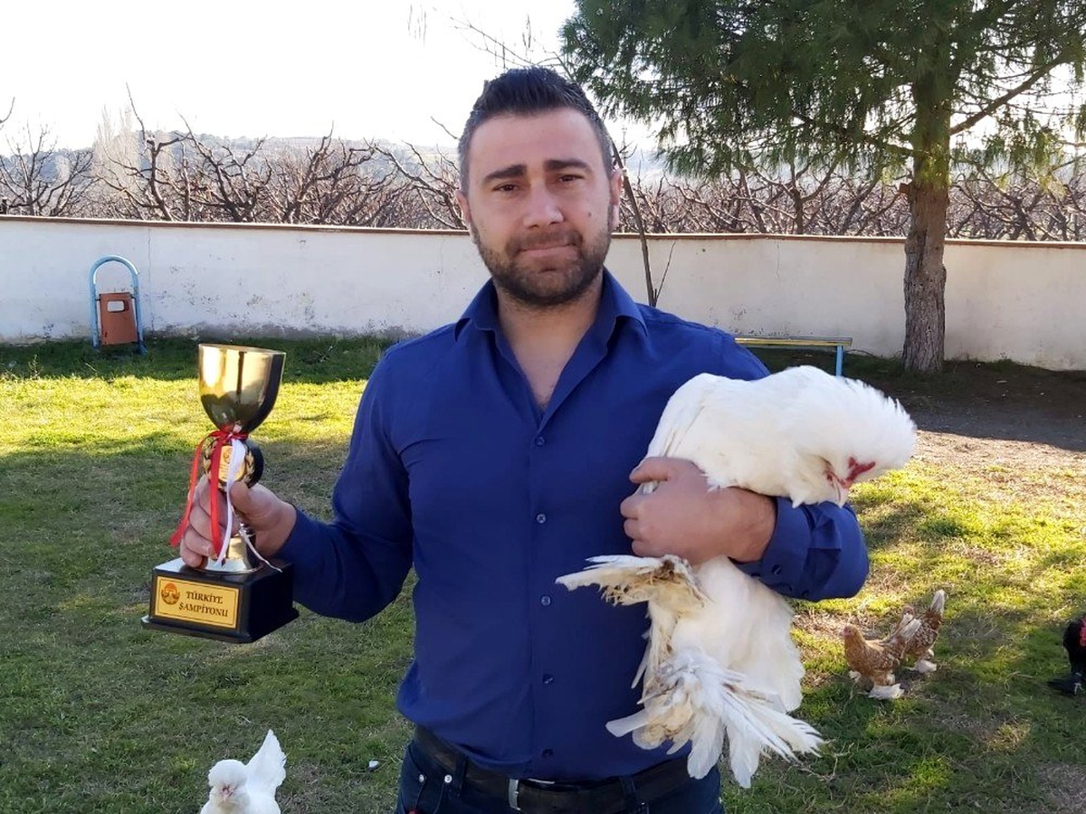 Osmanlı süs tavuğu ve horozu yarışmasında Çanakkale\'ye Türkiye birinciliği geldi