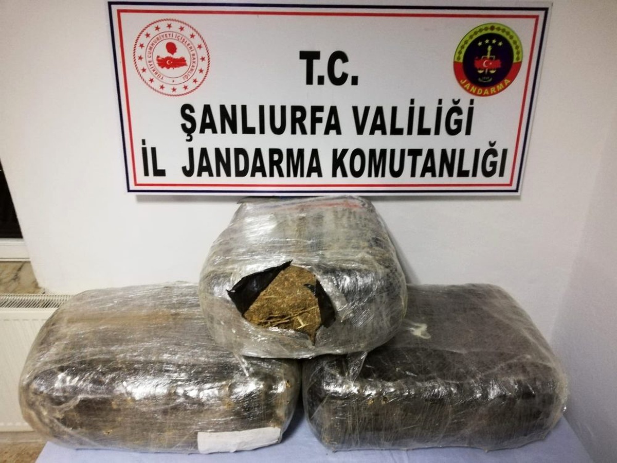 PKK\'nın finansal ayağına darbe: 57 kilo esrar ele geçirildi, 3 tutuklandı