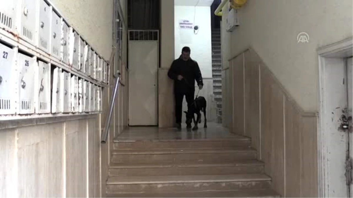Bakan Pakdemirli\'nin sahip çıktığı köpek "Bobo" tedavisi için İstanbul\'a gönderildi (2)