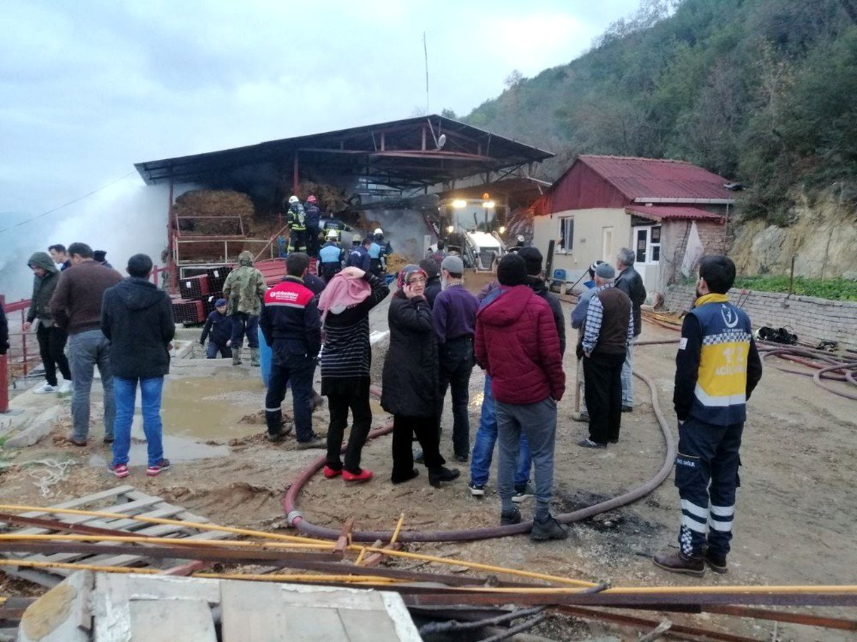 Çiftlikte çıkan yangında 12 ton saman balyası küle döndü