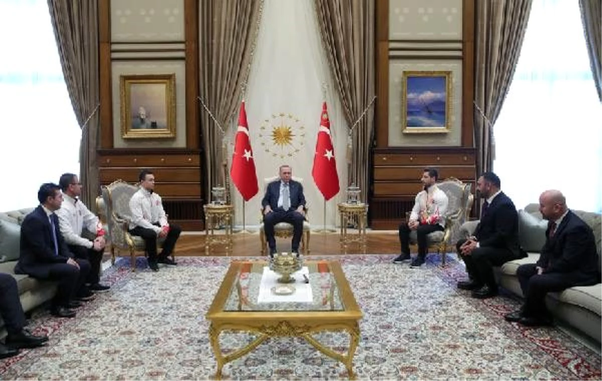 Cumhurbaşkanı Erdoğan, milli cimnastikçileri kabul etti