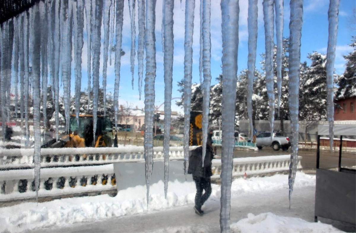 Doğu Anadolu buz kesti: Erzurum, Ağrı ve Kars eksi 20\'leri gördü
