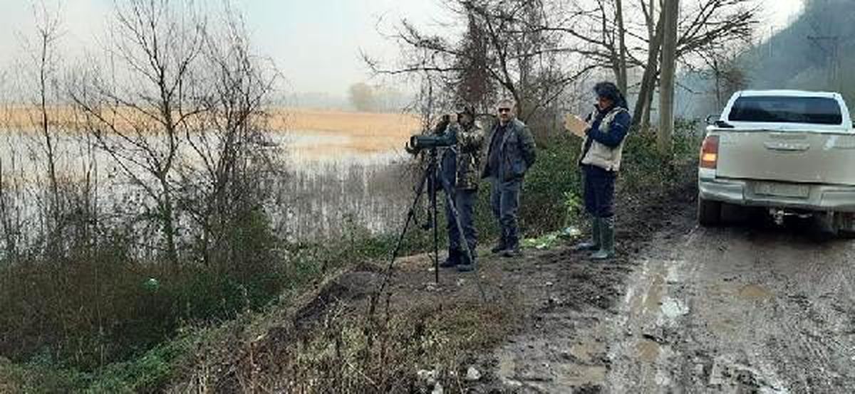 Düzce\'deki Efteni Gölü\'nde 21 çeşit su kuşu tespit edildi