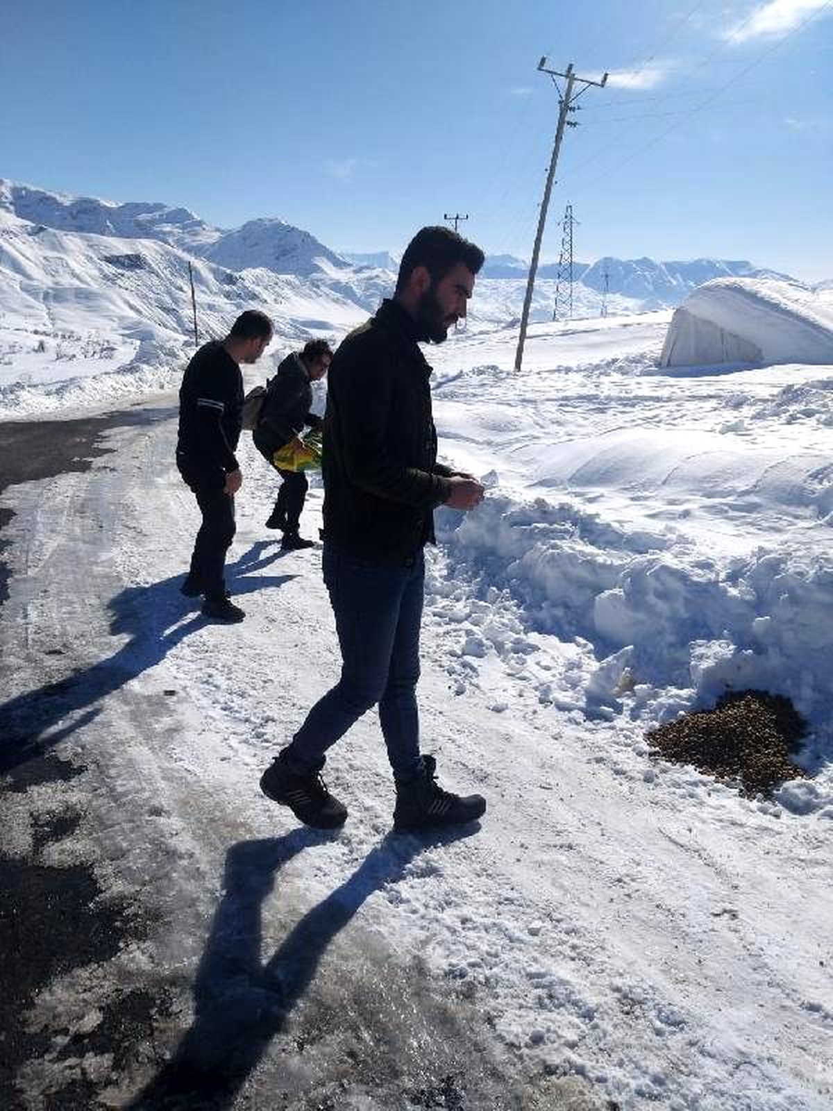 Kadın Meclis üyesi, sokak hayvanları için doğaya yem bıraktı