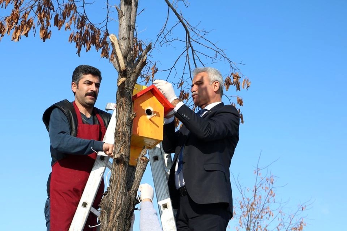 Muş\'ta Osmanlı mimarisi ile kuş evleri