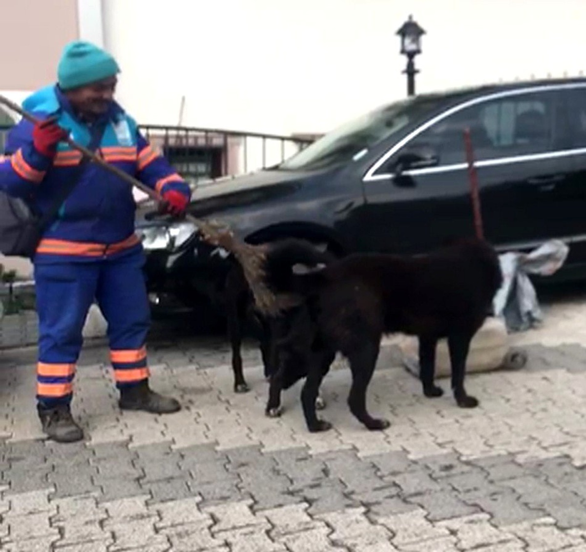 (Özel) Temizlik işçisinin sokak köpeklerine süpürgeyle masaj yaptığı ısıtan görüntüler kamerada