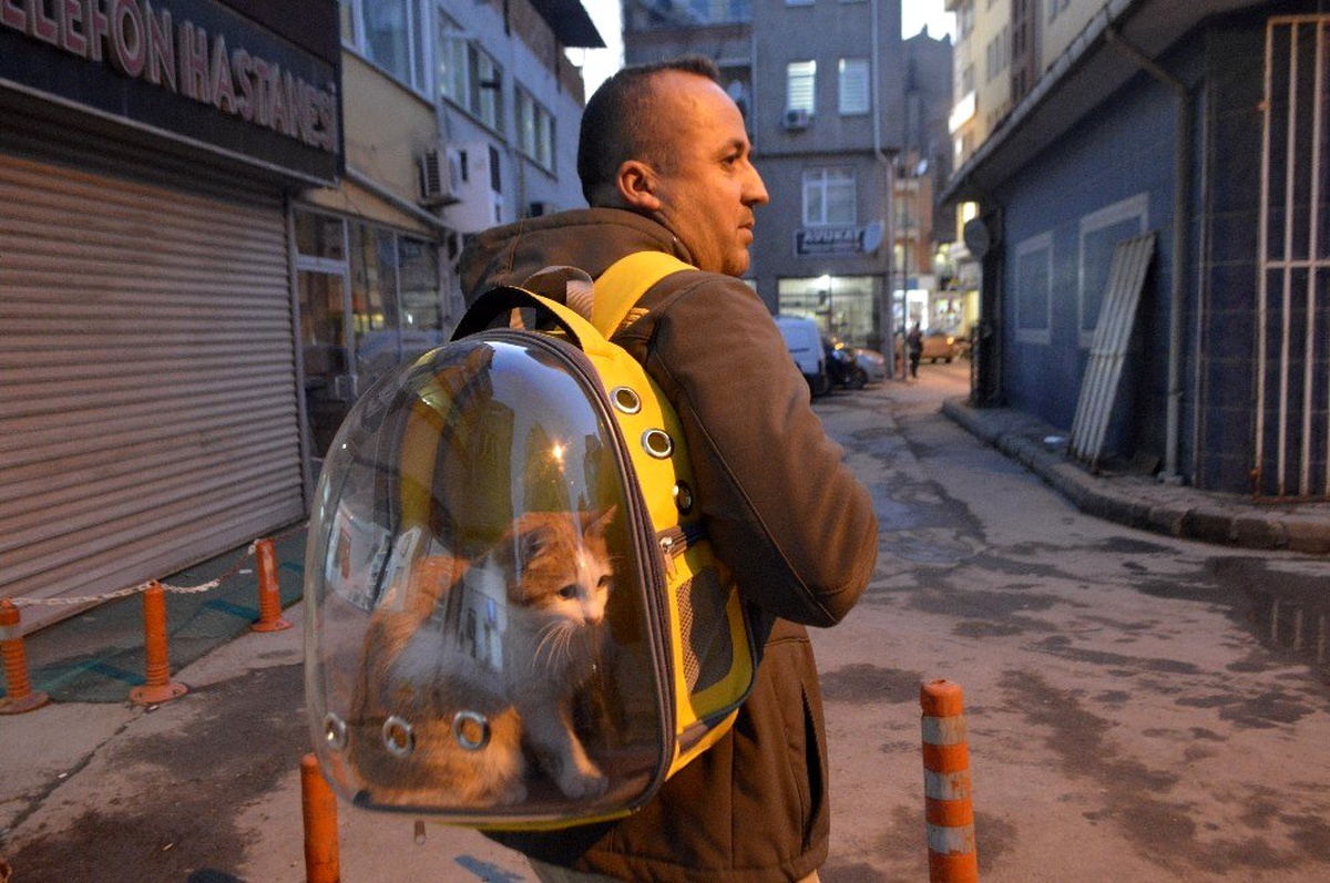 Sahiplendiği kediyi sırt çantasında gezdiriyor