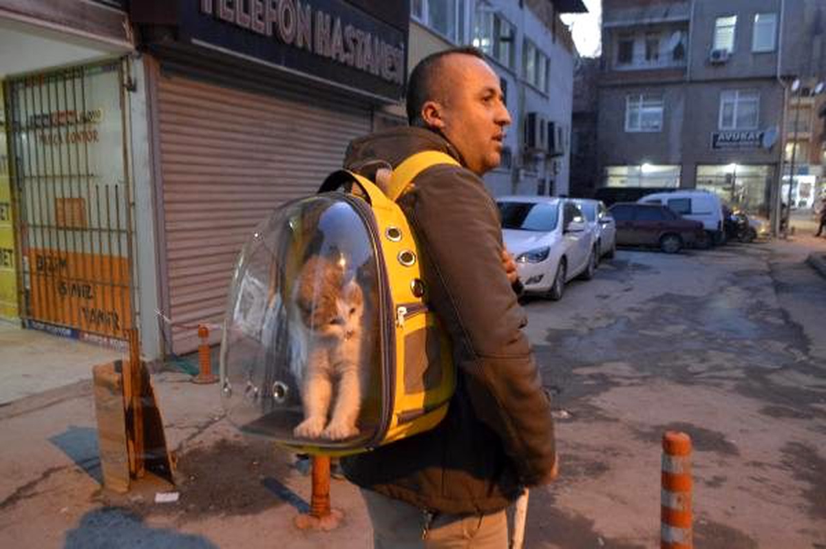 Sahiplendiği sokak kedisini sırt çantasında gezdiriyor