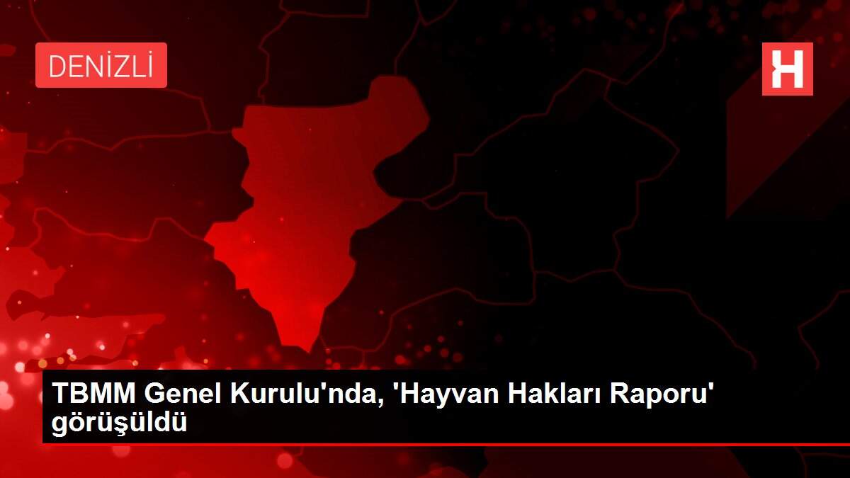 TBMM Genel Kurulu'nda, 'Hayvan Hakları Raporu' görüşüldü