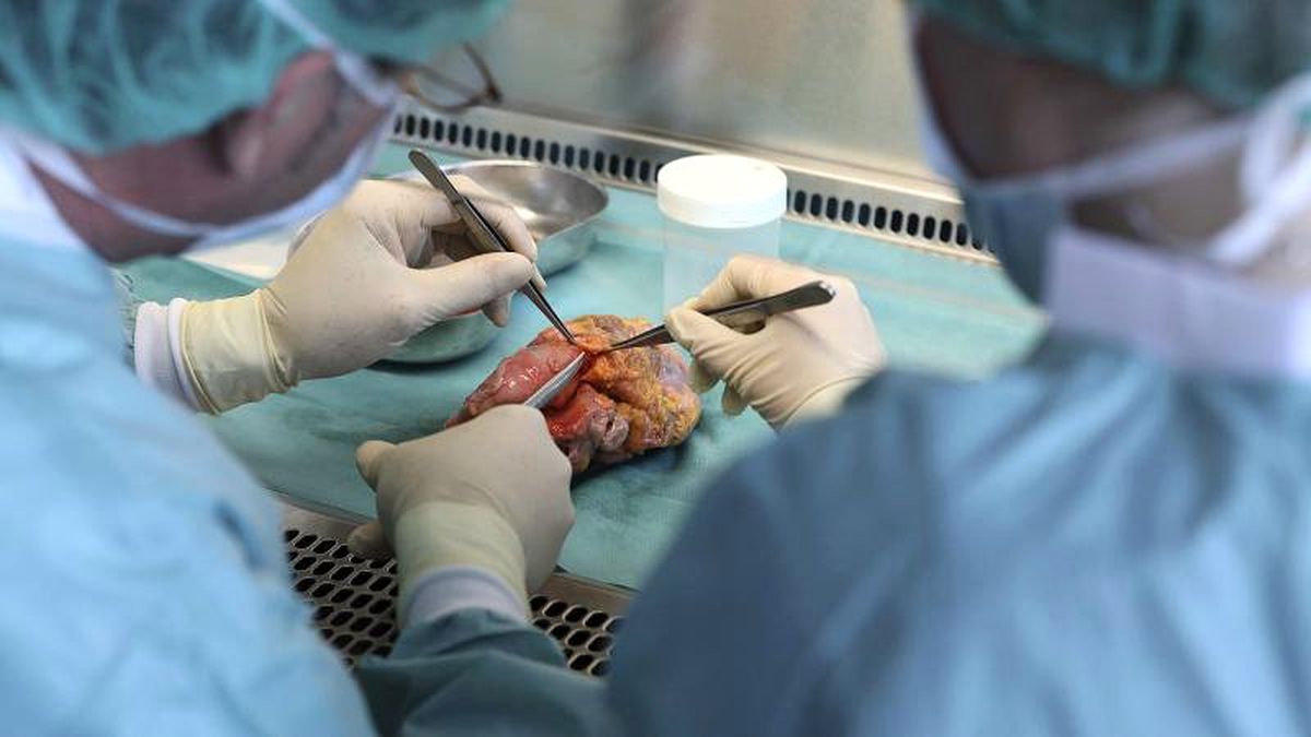 Almanya: Organ bağışı reform teklifi parlamentoda reddedildi