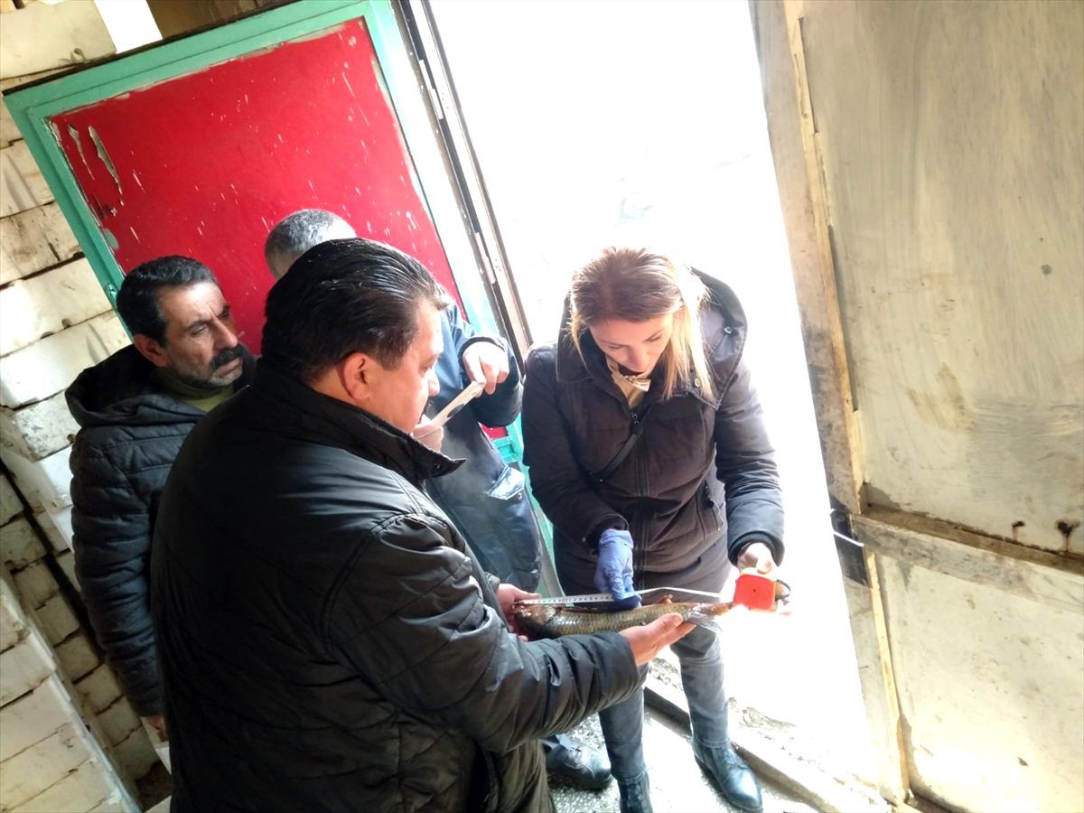 Altındağ\'da balık depoları denetlendi