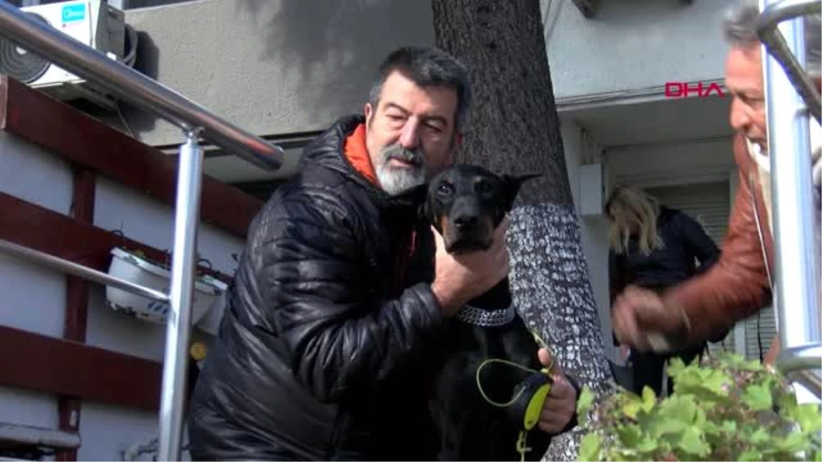 Bakan pakdemirli\'nin sahip çıktığı köpek \'bobo\' katarakt ameliyatı oldu