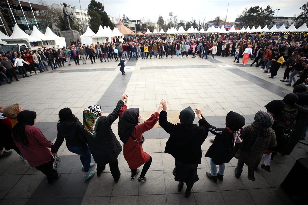 Düzce\'de "1. Hamsi Festivali" başladı