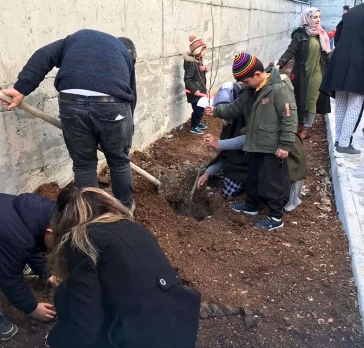 Her öğrenci için bir fidan dikildi