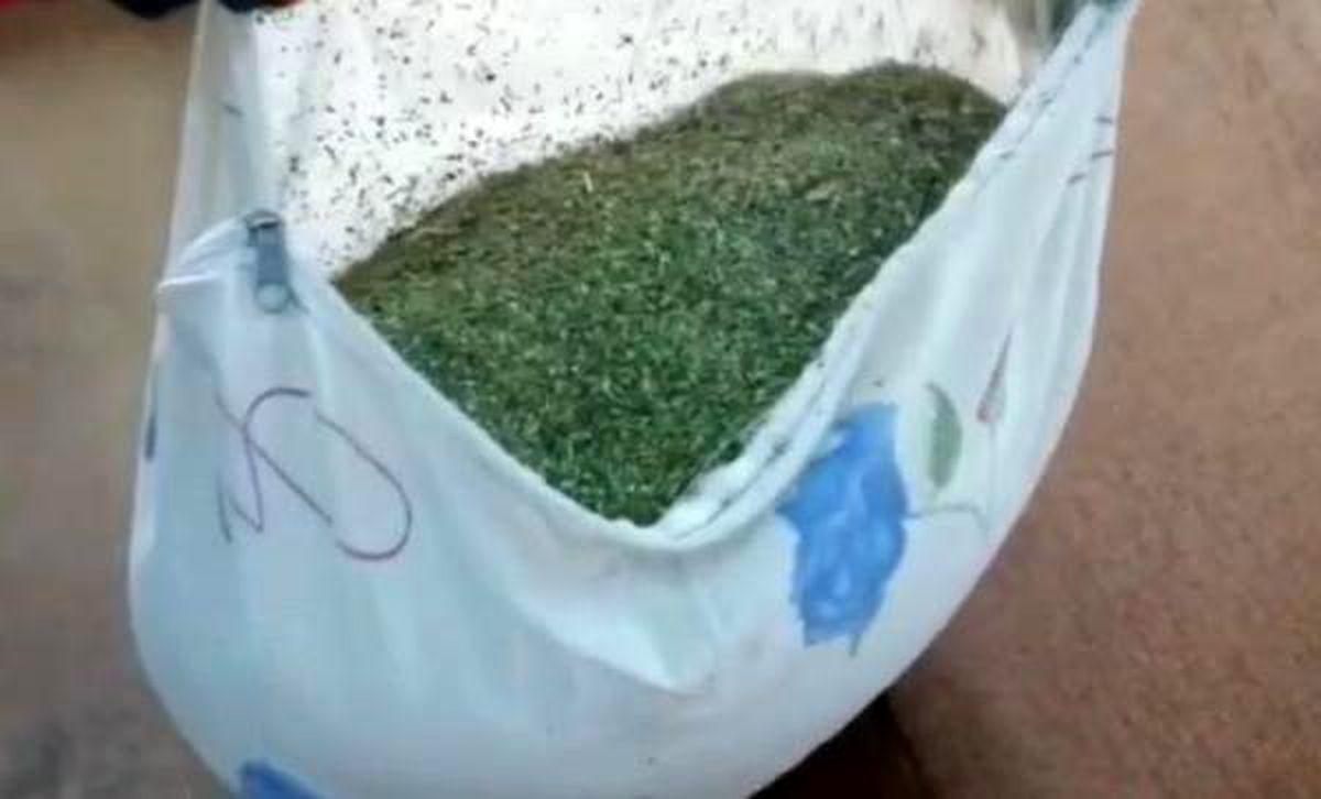 Lice\'de, yastık kılıfı ve poşetlerde 62 kilo esrar ele geçirildi