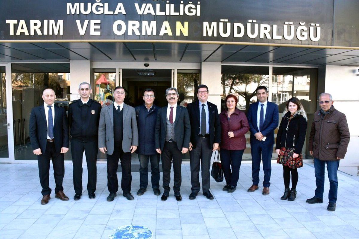 Muğla\'da meralarda hayvan otlatma ücretleri düşürüldü