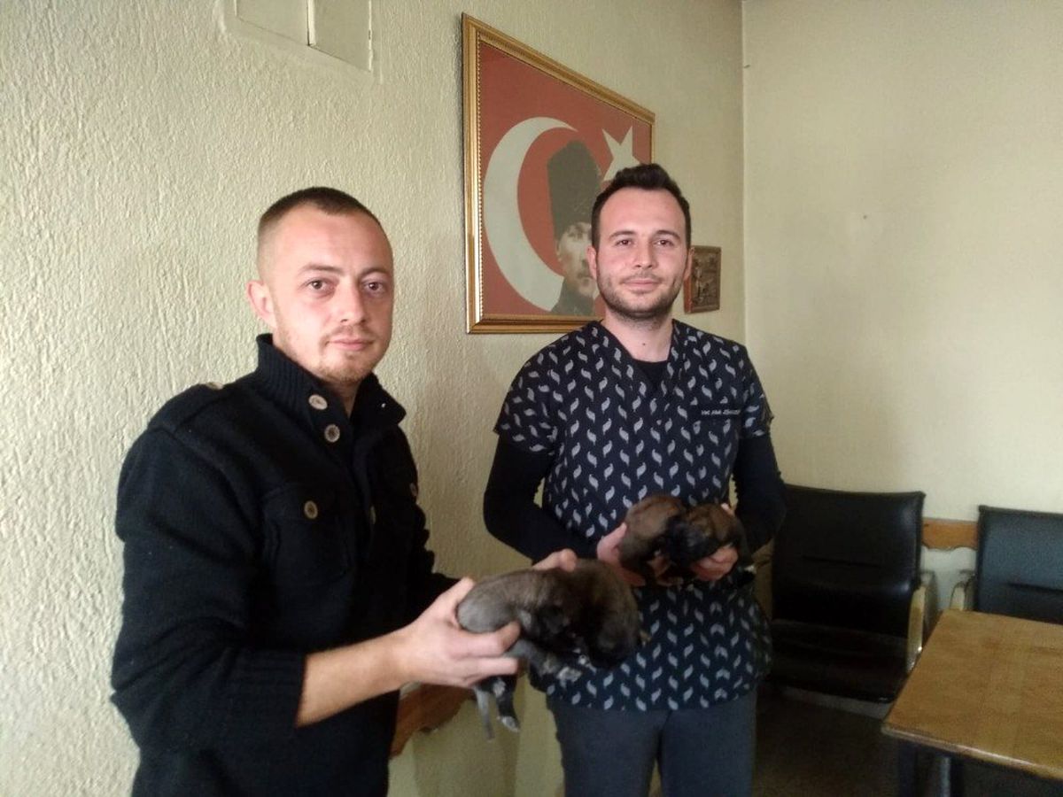 (Özel) 4 yavru köpeği çuvala koyup çöpe attılar