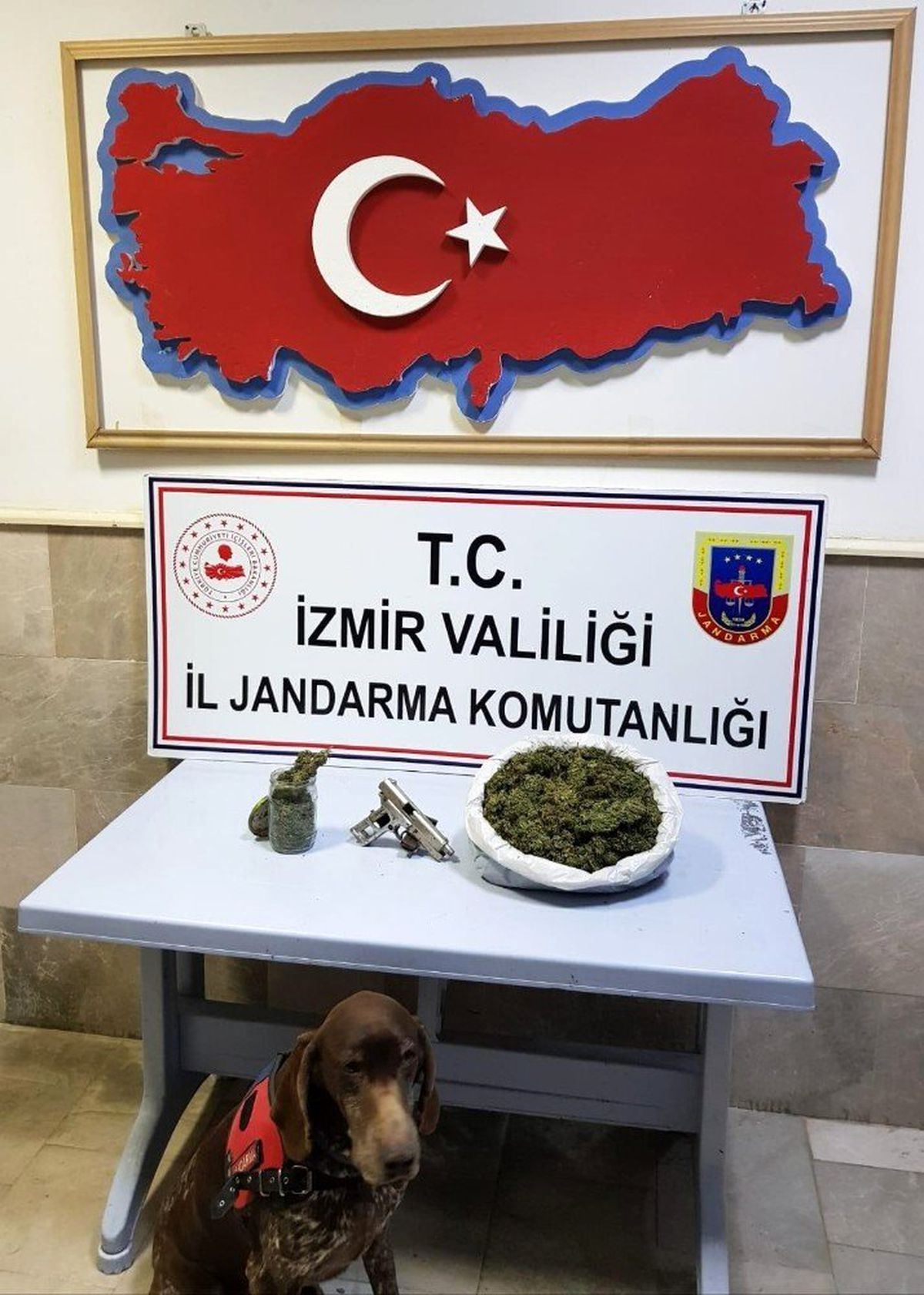Saklanan uyuşturucuları narkotik köpeği \'Varlı\' buldu