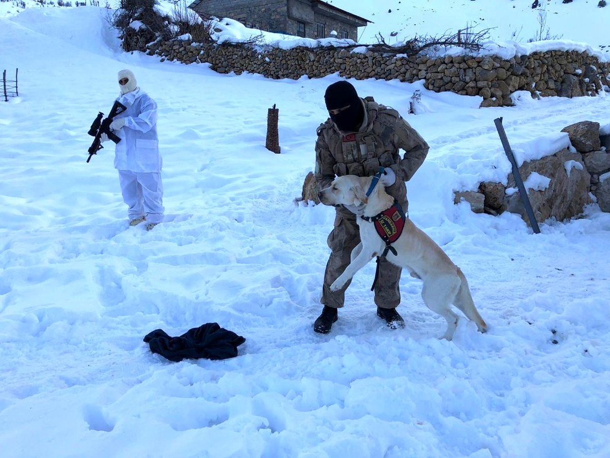 Şırnak\'ta kayıp çifti arama çalışmaları sürüyor