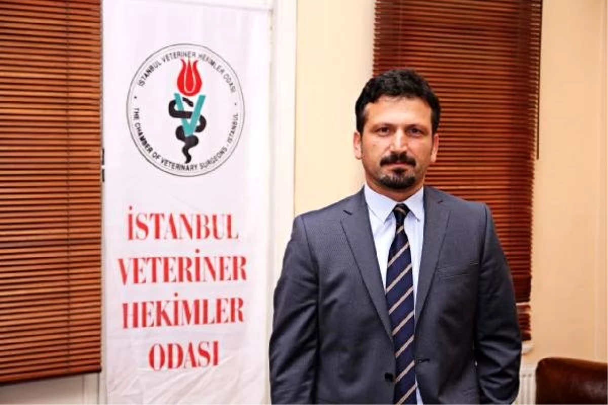 Veteriner Hekimler Odası uyardı: Ölü kuşlara sakın dokunmayın