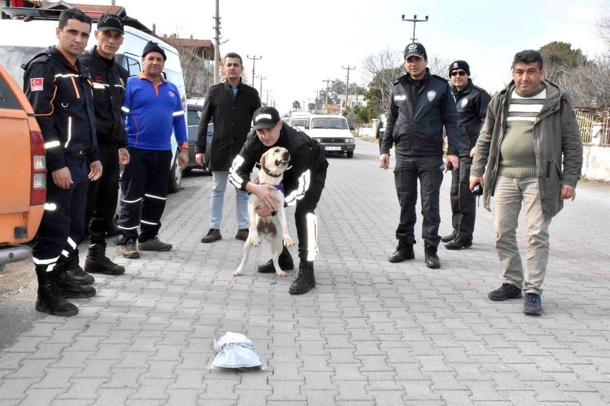 Köyceğiz\'de kaybolan İngiliz aranıyor