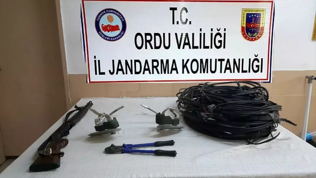 Ordu\'da hırsızlık ve uyuşturucu operasyonunda yakalanan 3 kişi tutuklandı