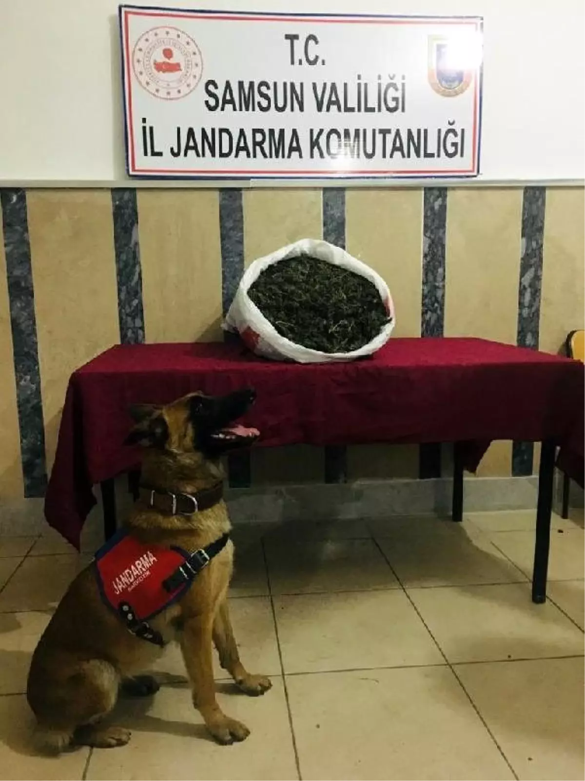 \'Ozon\'la yapılan aramada 7 kilo esrar ele geçirildi