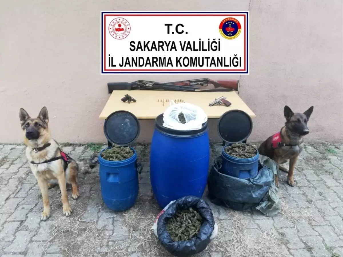 Sakarya\'da 11 kilogram esrar ele geçirildi: 1 gözaltı