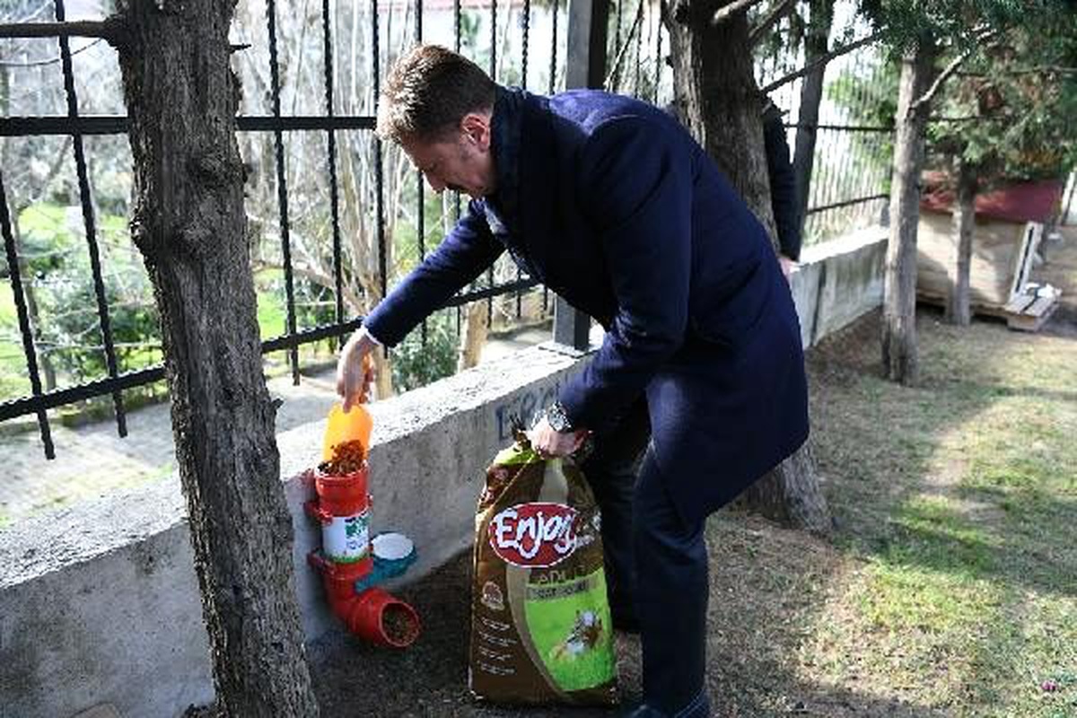 Sokak hayvanları sıcak yuvalarına kavuştu