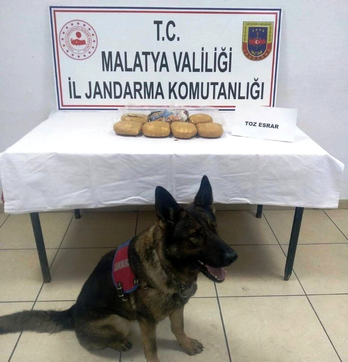 Yolcu otobüsündeki esrarı \'Kitap\' buldu