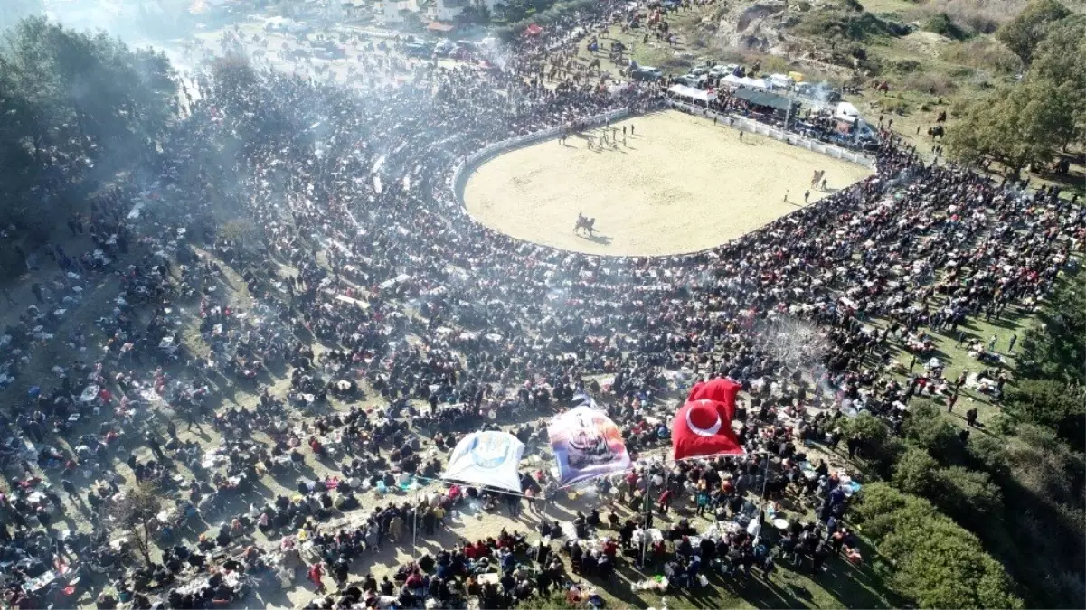 38. Uluslararası Devecilik Festivali\'ne binlerce kişi akın etti