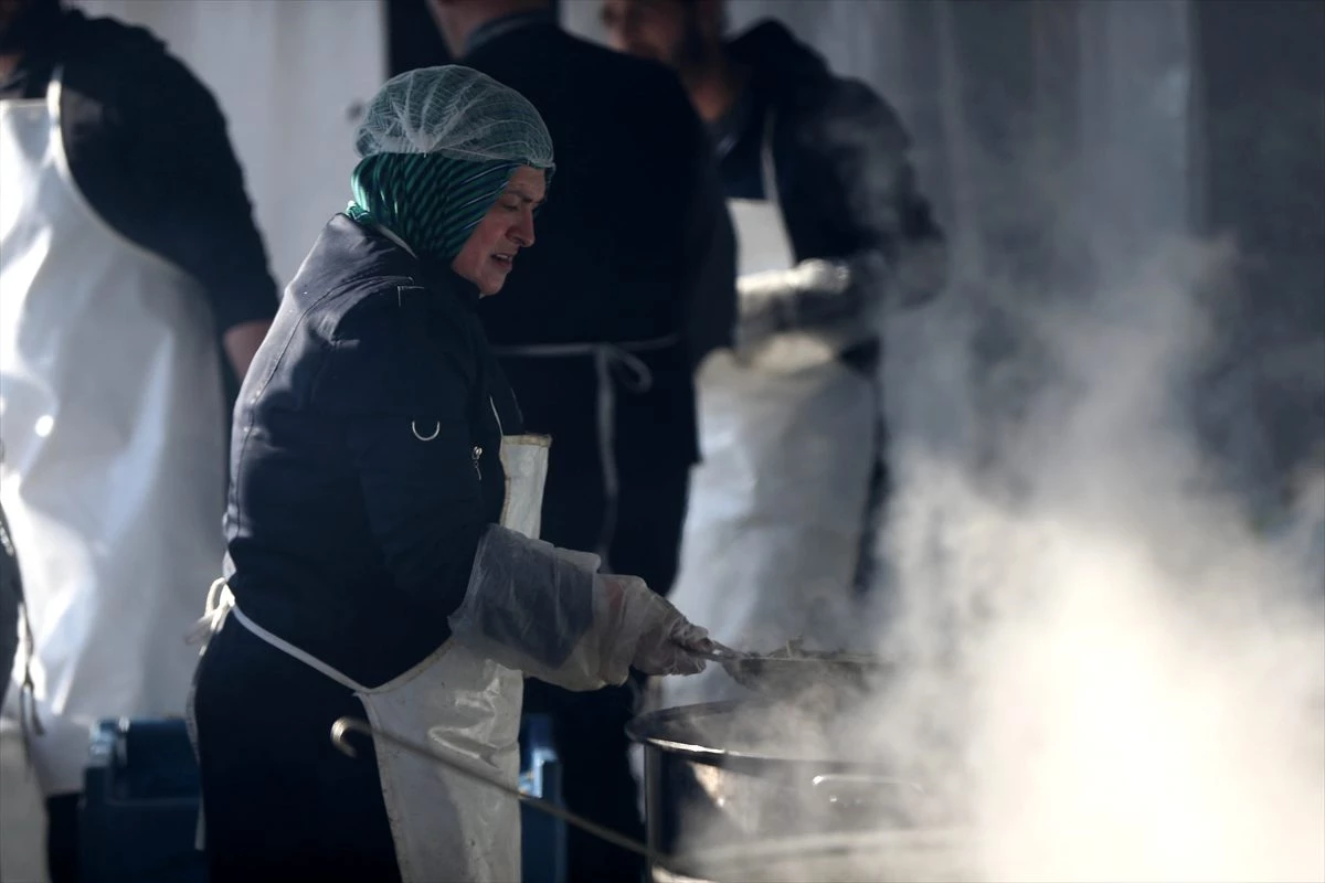 Düzce\'de düzenlenen festivalde iki günde 5 ton hamsi dağıtıldı