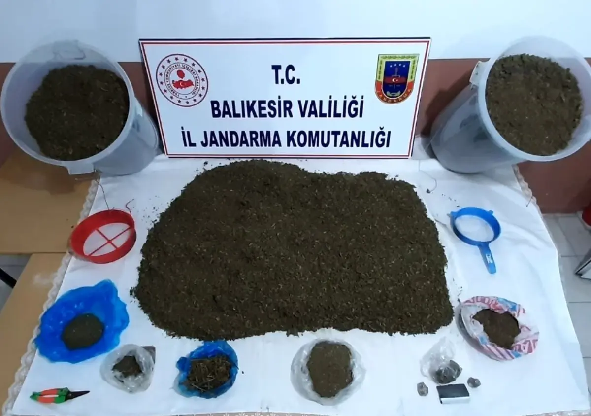 Erdek\'te jandarma ormanda uyuşturucu ele geçirdi