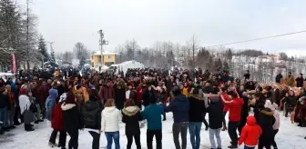 Ordu'da hamsi şöleni renkli geçti